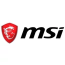 MSI